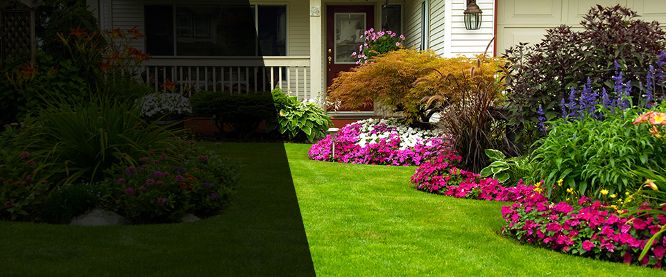 Ferdinand Landscapers